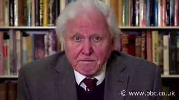 Attenborough gives stark warning on climate change to UN