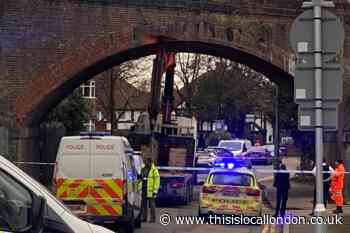 Crane halts trains after crashing into Carshalton bridge