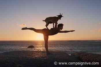 Facebook campaign pushes benefits of targeted ads for small businesses