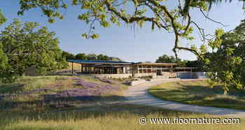 Sustainable architecture and film: Feldman Architecture's Caterpillar House | Livegreenblog - Floornature.com