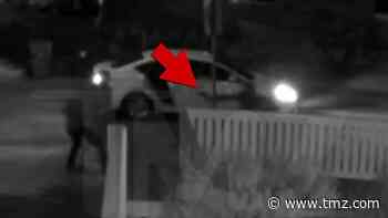 New Video of Lady Gaga Dog Abduction Shows Shooting and Getaway
