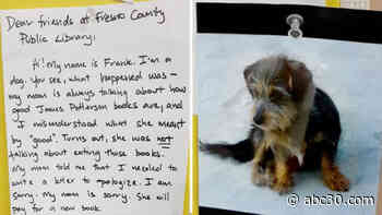 'The book was good': Fresno dog leaves apology letter after eating his owner's library book