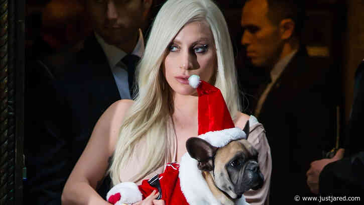 Lady Gaga Is 'Completely Devastated & Sickened' Over What Happened to Her Dogs & Dog Walker