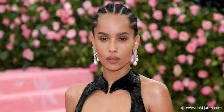 Zoe Kravitz to Star in Steven Soderbergh-Directed HBO Max Movie 'KIMI'
