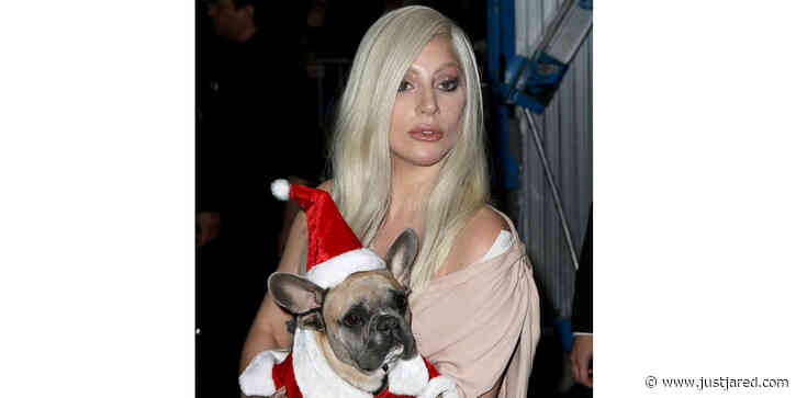 Lady Gaga Is Offering $500,000 for the Safe Return of Her Two Stolen Dogs