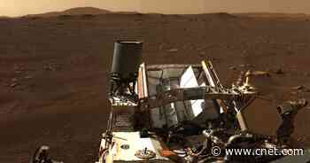 NASA stitches 142 Perseverance rover images into epic Mars panorama     - CNET