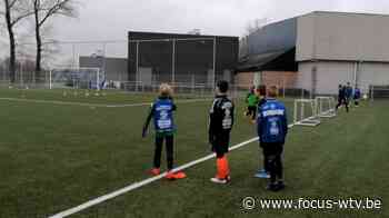 Opluchting bij sportclubs groot, ook bij Excelsior Zedelgem - Focus en WTV