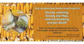 Surge Of Pet Deaths Linked To The Most Common Pet Food Ingredient - PRNewswire