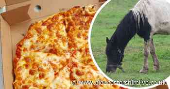 Horse poorly after being fed 'people food' - Gloucestershire Live