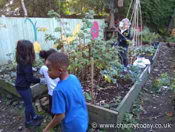 Green-fingered kids go wild as healthy food scheme is extended - Charity Today News