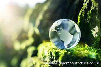 Food processors' sustainability work eyes scope 3 emissions - FoodManufacture.co.uk