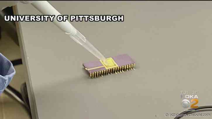 Pitt And UPMC Researchers Working On Rapid Coronavirus Test That Delivers Result In 5 Minutes