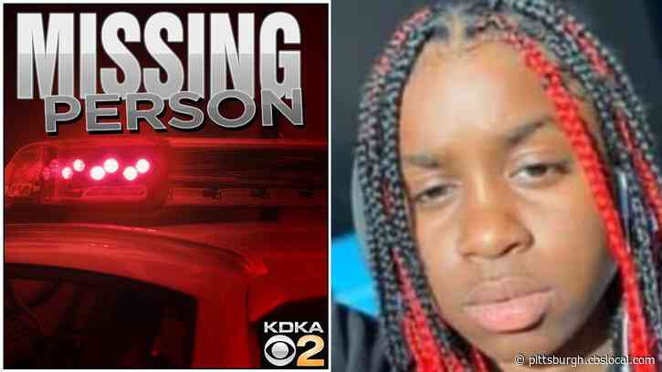 Pittsburgh Police Searching For Missing 16-Year-Old Niya Peterson