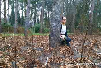 Lisa plant eerste particuliere tiny forest: jungle van zakdoek groot met 300 planten