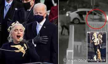 FBI investigate if Lady Gaga's dognapping was political because she sang at Biden's inauguration