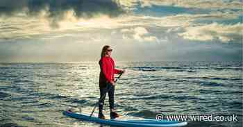 I swapped 18-hour days stuck at a desk to surf with seals in Wales