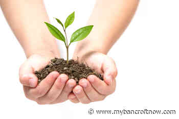 Bancroft Area Stewardship Council Begins Annual Tree and Shrub Program - mybancroftnow.com