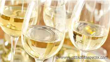 Vino fermo o frizzante: come e quale scegliere - Città della Spezia