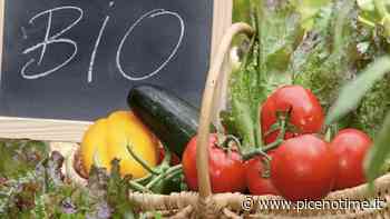 Cia Ascoli-Fermo-Macerata, incontro “La nuova frontiera del Bio. Produrre per i consumatori senza l'utilizzo del rame” - picenotime