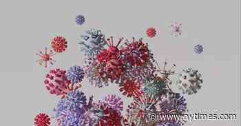 The Secret Life of a Coronavirus
