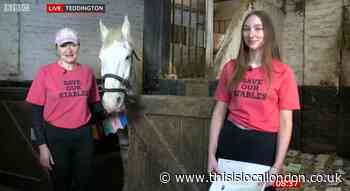Park Lane Stables workers receive invite from the Queen