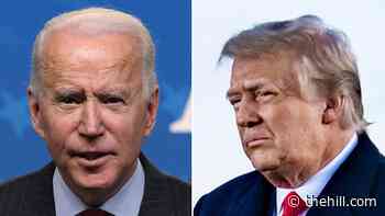 Trump reemerges to legacy being erased by Biden