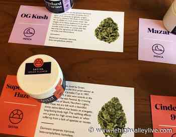 Nazareth area medical marijuana dispensary approved - lehighvalleylive.com