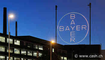 Chemie - Bayer will einen Herbizid-Unternehmensteil verkaufen -  Cash