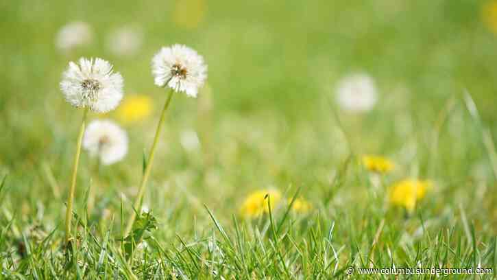 Coronavirus Update: Schools Reopening, Spring/Summer Events & More