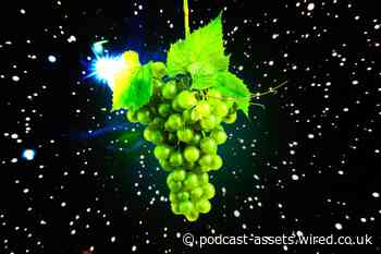 Why grow grapes in space?