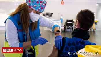 Coronavirus: EU urged to adopt 'vaccine passports' - BBC News