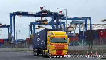 Stormont minister halts construction work on Brexit inspection posts at NI ports