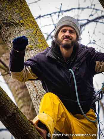 Protestors occupy York Gardens tree for fifth day