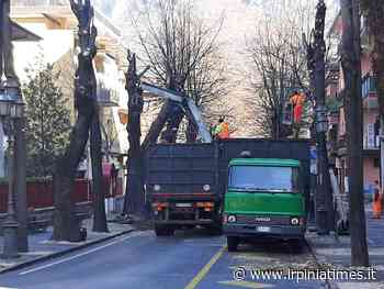 Solofra, lavori di potatura degli alberi di alto fusto del centro urbano - https://www.irpiniatimes.it