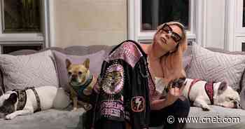 Lady Gaga dog walker reported in stable condition after shooting: What happened?     - CNET