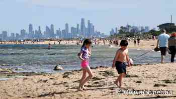 Coronavirus Australia live news: COVID-19 restrictions ease in Victoria and New South Wales - ABC News