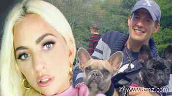 Lady Gaga Speaks Out on Stolen Dogs, Dog Walker to Make Full Recovery