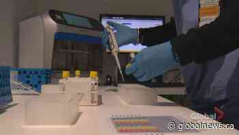Travellers to get a free COVID-19 PCR test at Toronto's Pearson Airport | Watch News Videos Online - Globalnews.ca
