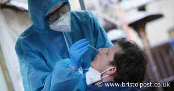 Coronavirus case rate continues to fall in Bristol area - Bristol Live