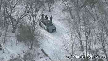 Death of woman at Toronto park being investigated as homicide
