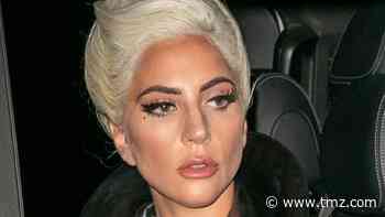 Lady Gaga's Stolen French Bulldogs Returned Unharmed