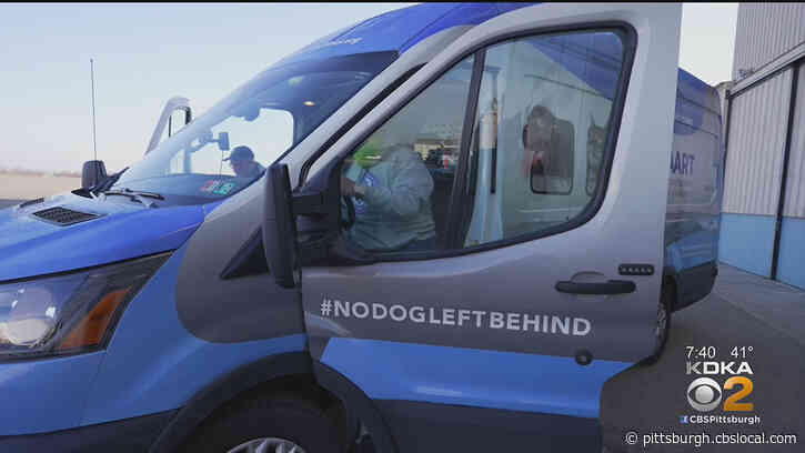 ‘No Dog Left Behind’ Rescues Stranded Pups From Texas Following Storms