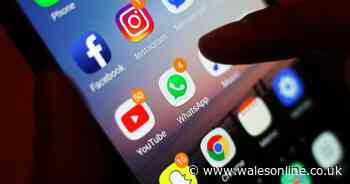 Social media: A force for good in Welsh politics? | Laura McAllister