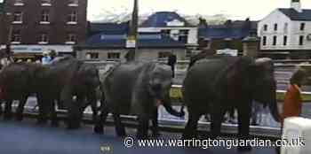 WATCH: Elephants parading along Bridge Foot for 70s circus