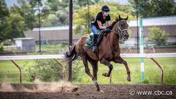 Sask. horse-racing industry devastated after 2021 racing season at Marquis Downs cancelled