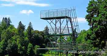 Freibad Daun führt neues Buchungssystem noch in diesem Jahr ein - Trierischer Volksfreund
