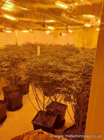 Cannabis farm found after dawn raid on Mount Pleasant, Darcy Lever