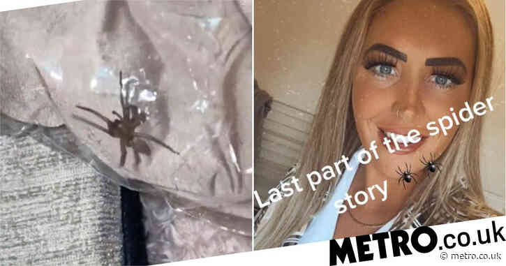 Woman horrified to find massive live spider in Boohoo parcel