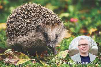 Endangered in Wanstead campaign launched to help save ten species