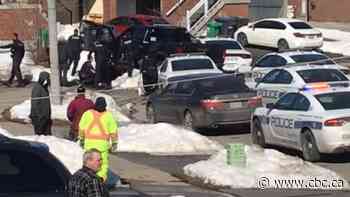 Video shows arrest of man in Brampton after alleged tow truck theft, police say